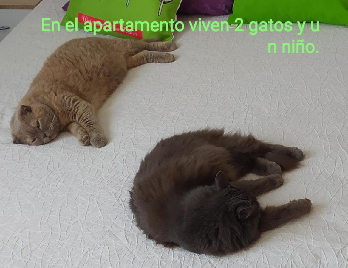 산비센테델라스페그 Monte Santa Barbara Justo En Frente De Usted En Un Dormitorio Privado Y Acogedor 아파트 외부 사진